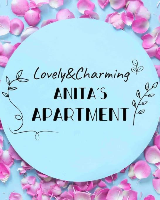 Lovely&Charming Anita'S Apartment Ponta Delgada  Exterior photo